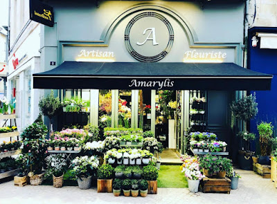 AMARYLIS à Poitiers