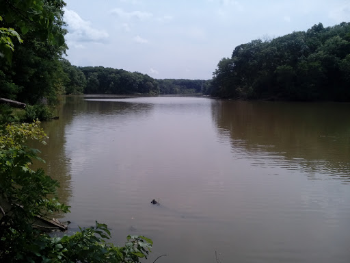 Nature Preserve «Sauk Trail Woods», reviews and photos, 3028 Forest Preserve Dr, Chicago Heights, IL 60411, USA