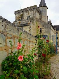 Château de Montsoreau-Musée d'art contemporain du Café Le Lion d'Or à Montsoreau - n°1