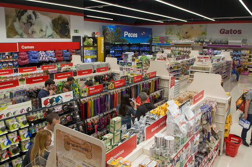 Kiwoko Mundo Animal - Basauri