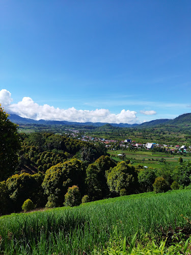 Kebun S Ratu pesak