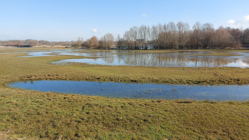 De Verdronken Weide à Ypres