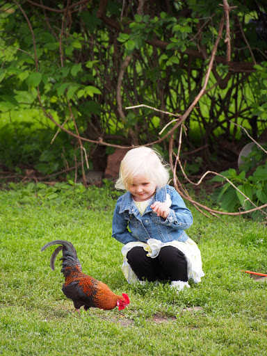 Winery «Strawbale Winery», reviews and photos, 47215 257th St, Renner, SD 57055, USA