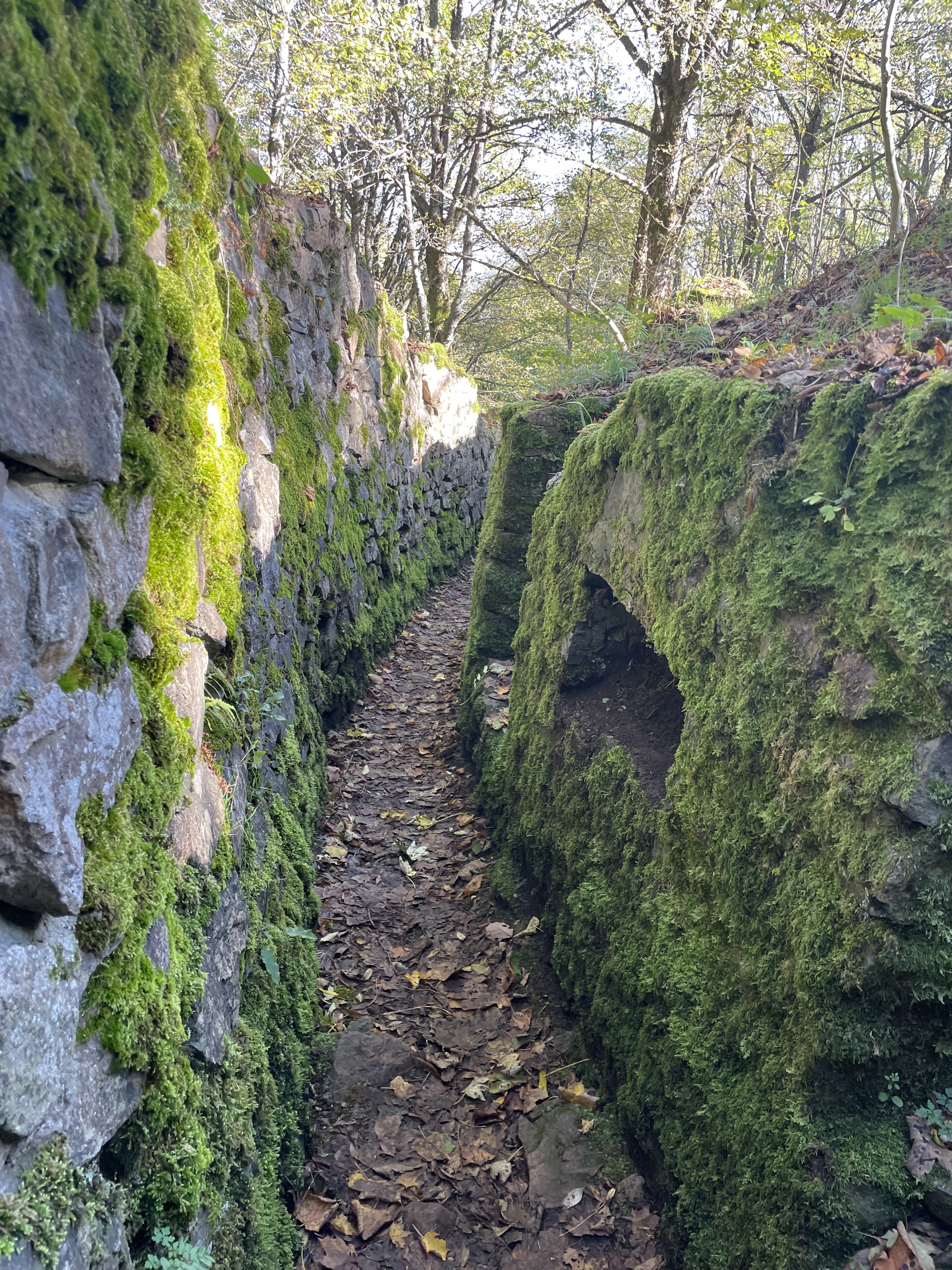 Photo n° 7 de l'avis de NC.o fait le 27/10/2022 à 19:04