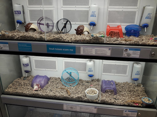 Pet Supply Store «Petco Animal Supplies», reviews and photos, 5994 Montana Ave, El Paso, TX 79925, USA