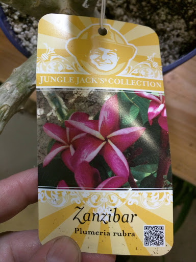 Home Improvement Store «The Home Depot», reviews and photos, 10801 Garden Grove Blvd, Garden Grove, CA 92843, USA