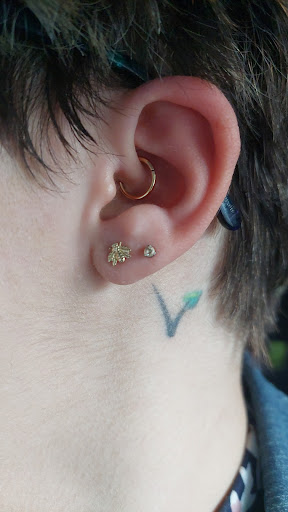 Find tattoo ideas of roses for your next unique tattoo in Lake Bluff at Evolution Body Arts