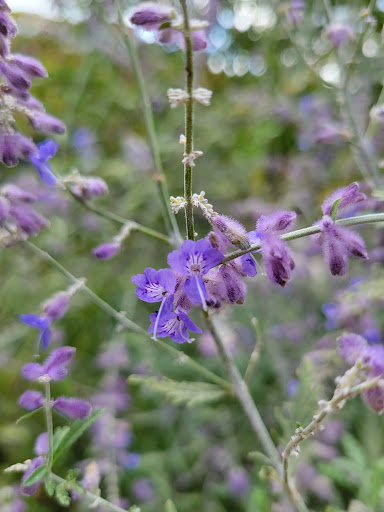 Park «Van Der Donck Park», reviews and photos, 41 Dock St, Yonkers, NY 10701, USA