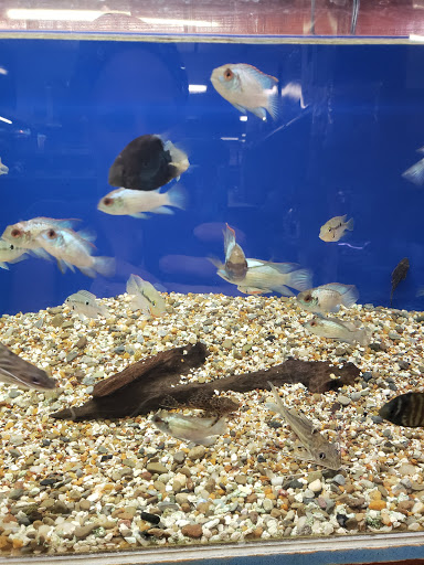 Pet Supply Store «Pet Bazaar», reviews and photos, 490 FL-436, Casselberry, FL 32707, USA