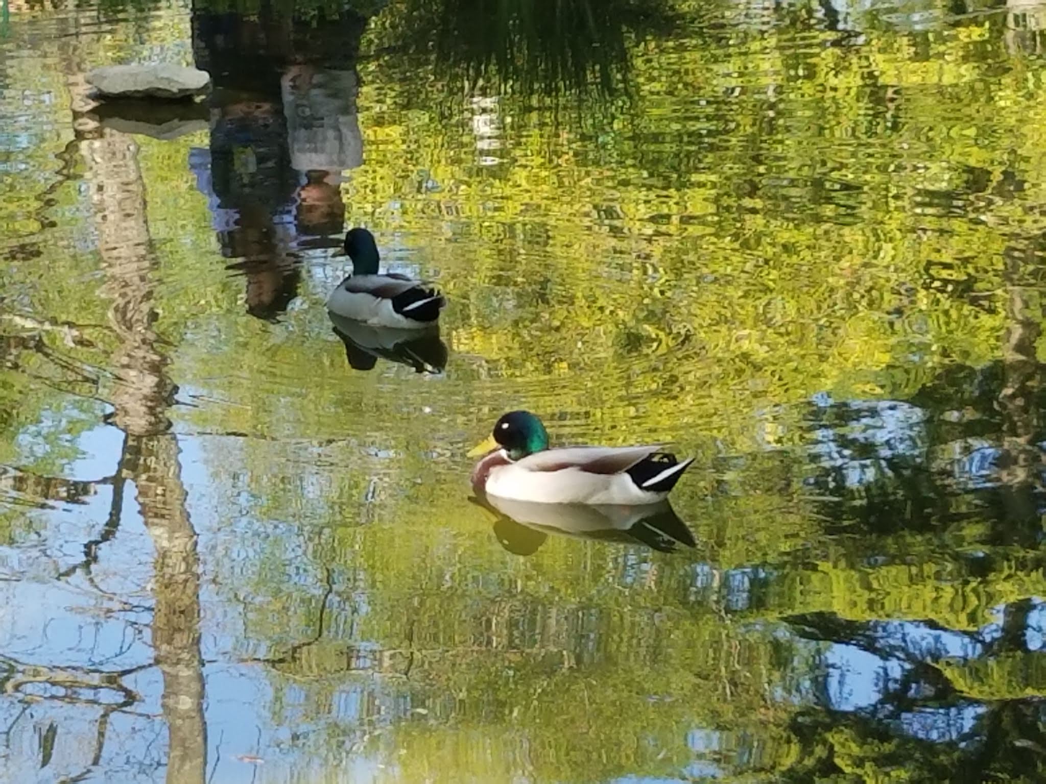 Photo n° 16 de l'avis de Elo.i fait le 14/09/2019 à 15:15