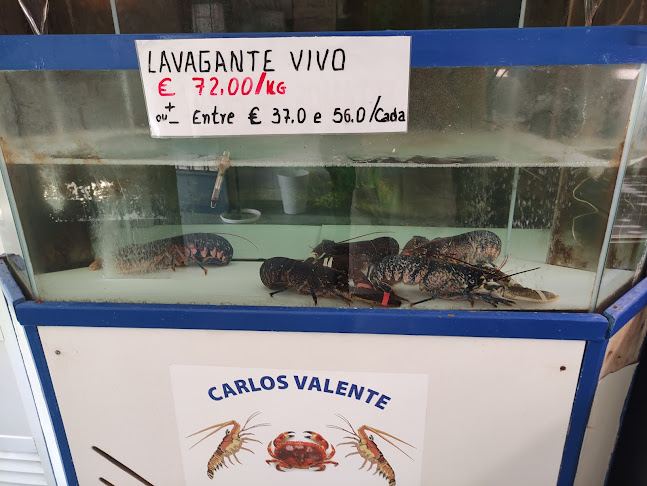 Carlos Valente-Comercio De Mariscos, Lda. - Mercado