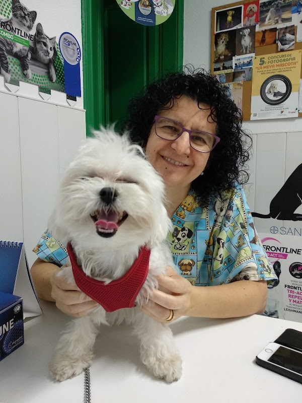 Imagen de Centre Veterinari Galvany (3 de 8)