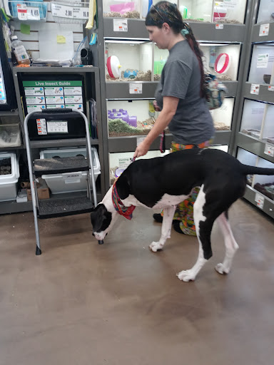 Pet Supply Store «Pet Supplies Plus», reviews and photos, 208 St James Ave, Goose Creek, SC 29445, USA