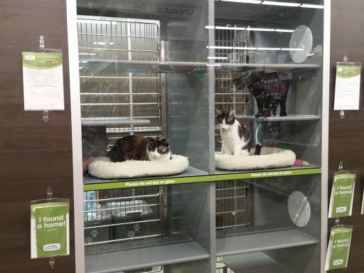 Pet Supply Store «PetSmart», reviews and photos, 1410 NE 23rd St, Pompano Beach, FL 33062, USA