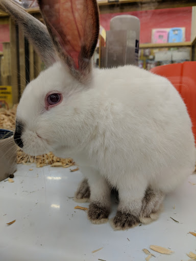 Pet Supply Store «Pet Supermarket, Inc.», reviews and photos, 598 N McCarran Blvd, Sparks, NV 89431, USA