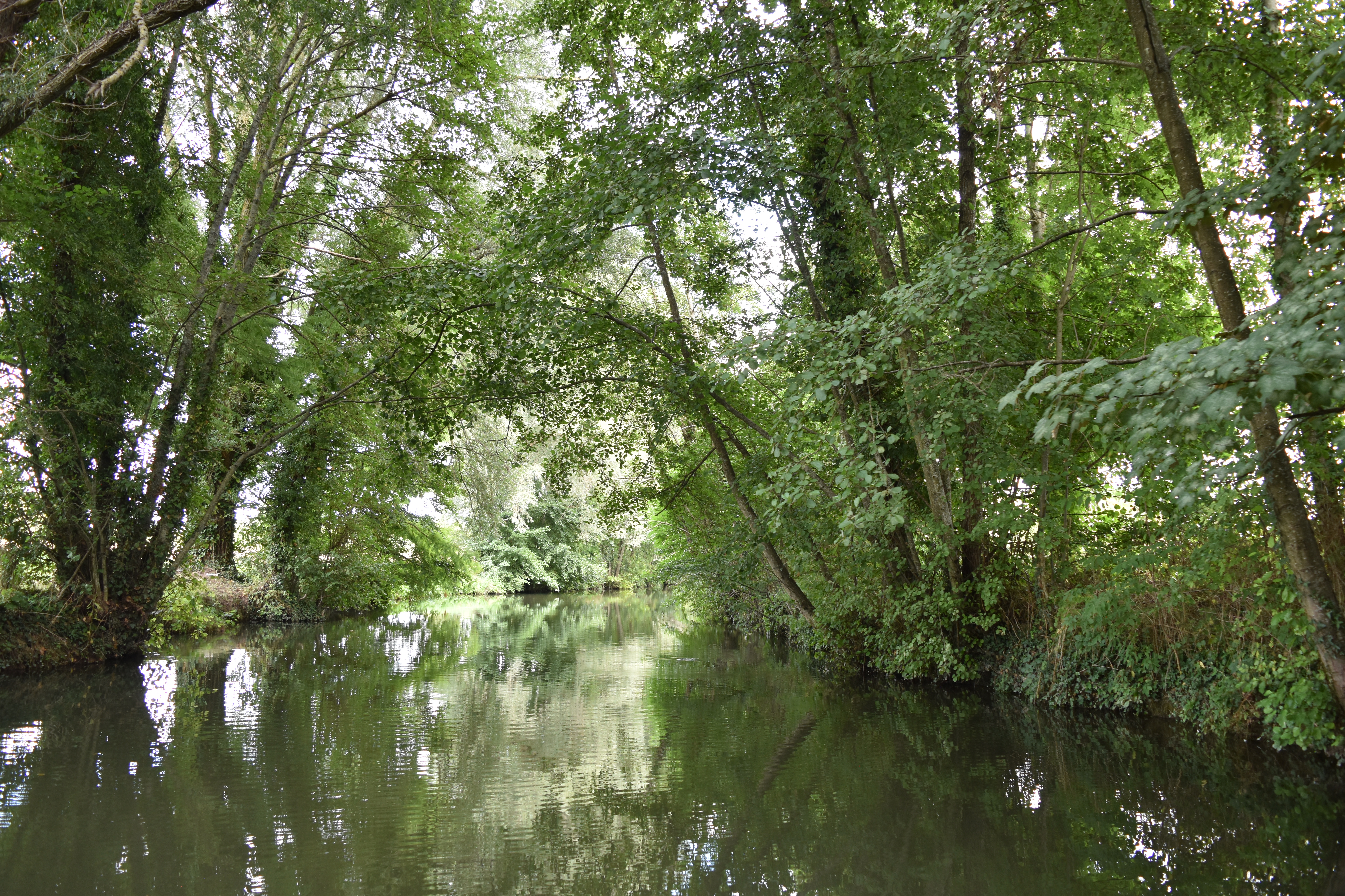 Photo n° 10 de l'avis de Sylvain.h fait le 23/08/2022 à 18:45