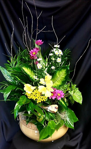 Florist «Mills & Young Florists», reviews and photos, 7122 Dixie Hwy, Louisville, KY 40258, USA