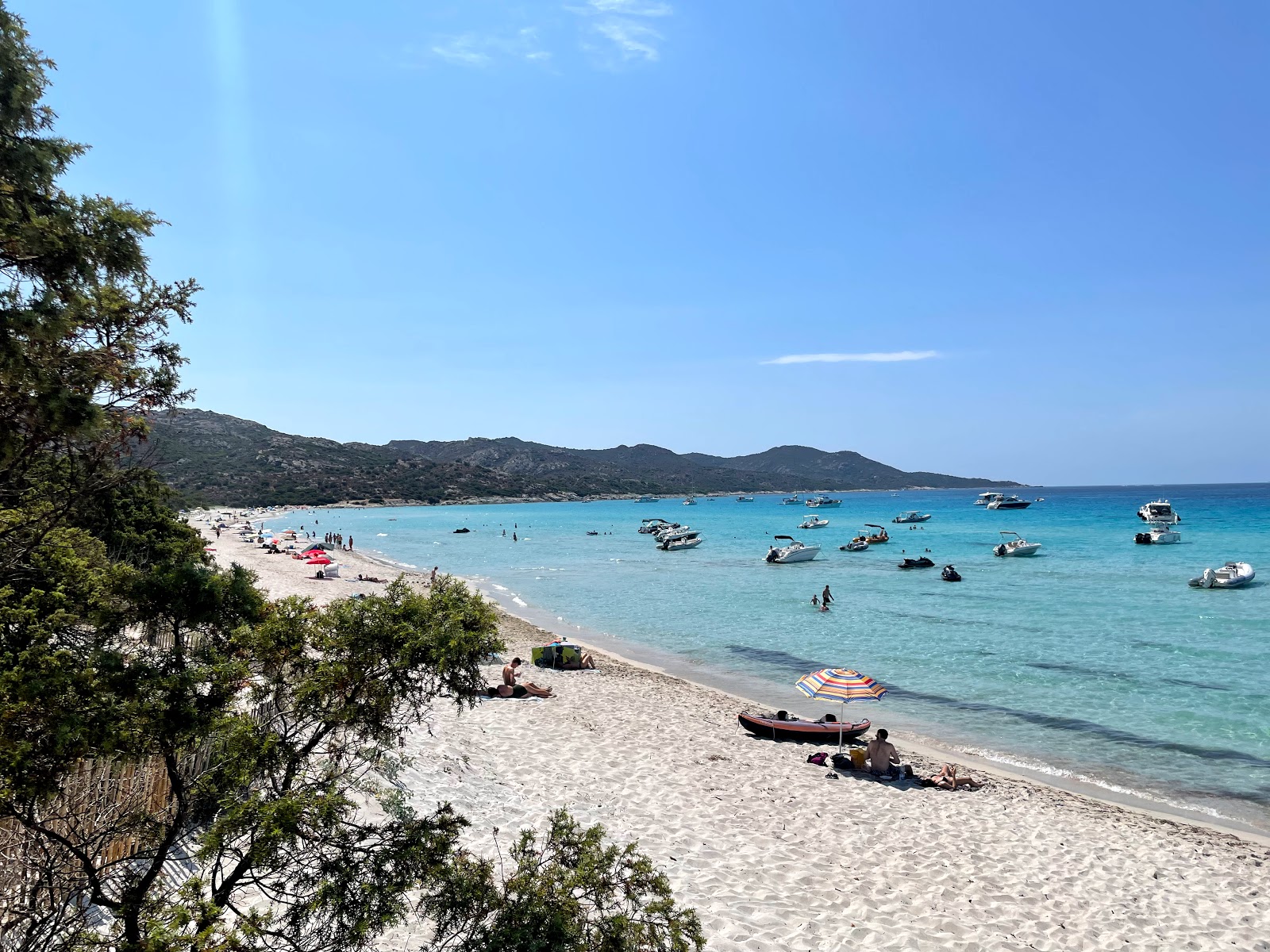 Saleccia beach photo #15