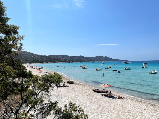 Plage de Saleccia
