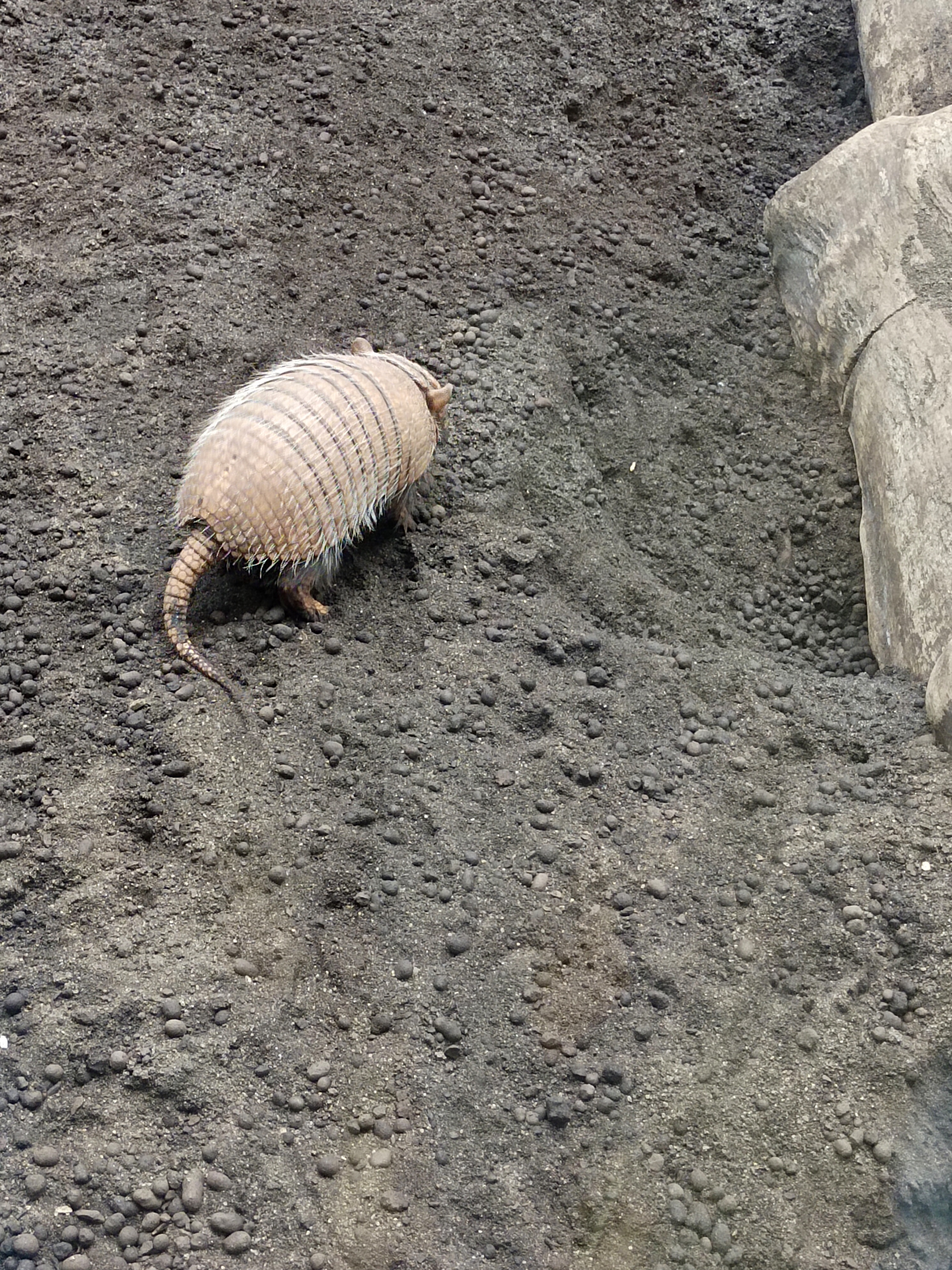 Photo n° 4 de l'avis de Suzy.a fait le 28/08/2023 à 21:34