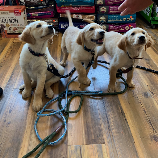 Pet Supply Store «Pets Naturally», reviews and photos, 1420 W South Airport Rd, Traverse City, MI 49686, USA