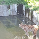 Photo n° 1 de l'avis de Johan.a fait le 20/04/2019 à 17:04 pour Bio-Topia Fort-Mardyck - Dunkerque à Dunkerque