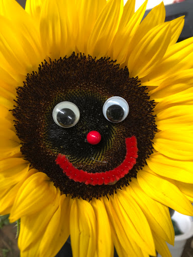 Florist «Bayview Florist», reviews and photos, 4736 Sunrise Hwy, Massapequa Park, NY 11762, USA