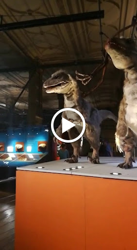 Museum «The Museum of Jurassic Technology», reviews and photos, 9341 Venice Blvd, Culver City, CA 90232, USA