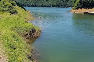 Darlık Dam image