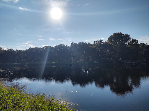 Park «Cliff Stephens Park», reviews and photos, 600 Fairwood Ave, Clearwater, FL 33759, USA