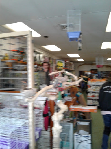 Pet Store «Pets World», reviews and photos, 147 Bridge St, Weymouth, MA 02191, USA