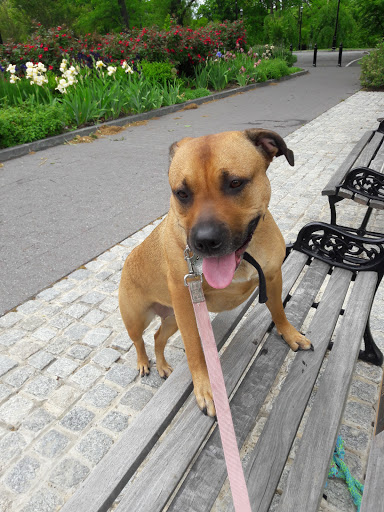 Roller Skating Rink «Branch Brook Park Roller Skating Center», reviews and photos, Clifton Ave, Newark, NJ 07104, USA