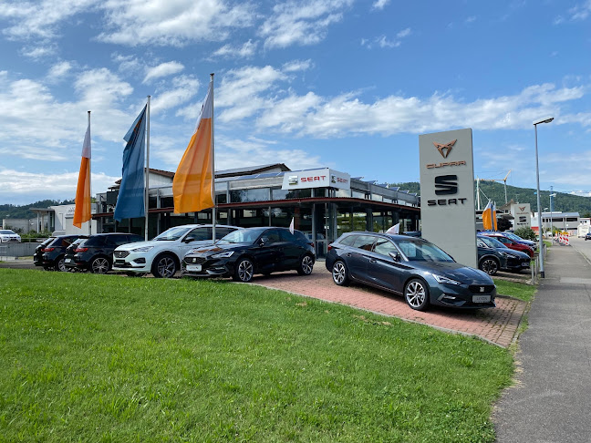 Rezensionen über Auto-Winzer GmbH in Rheinfelden - Autohändler