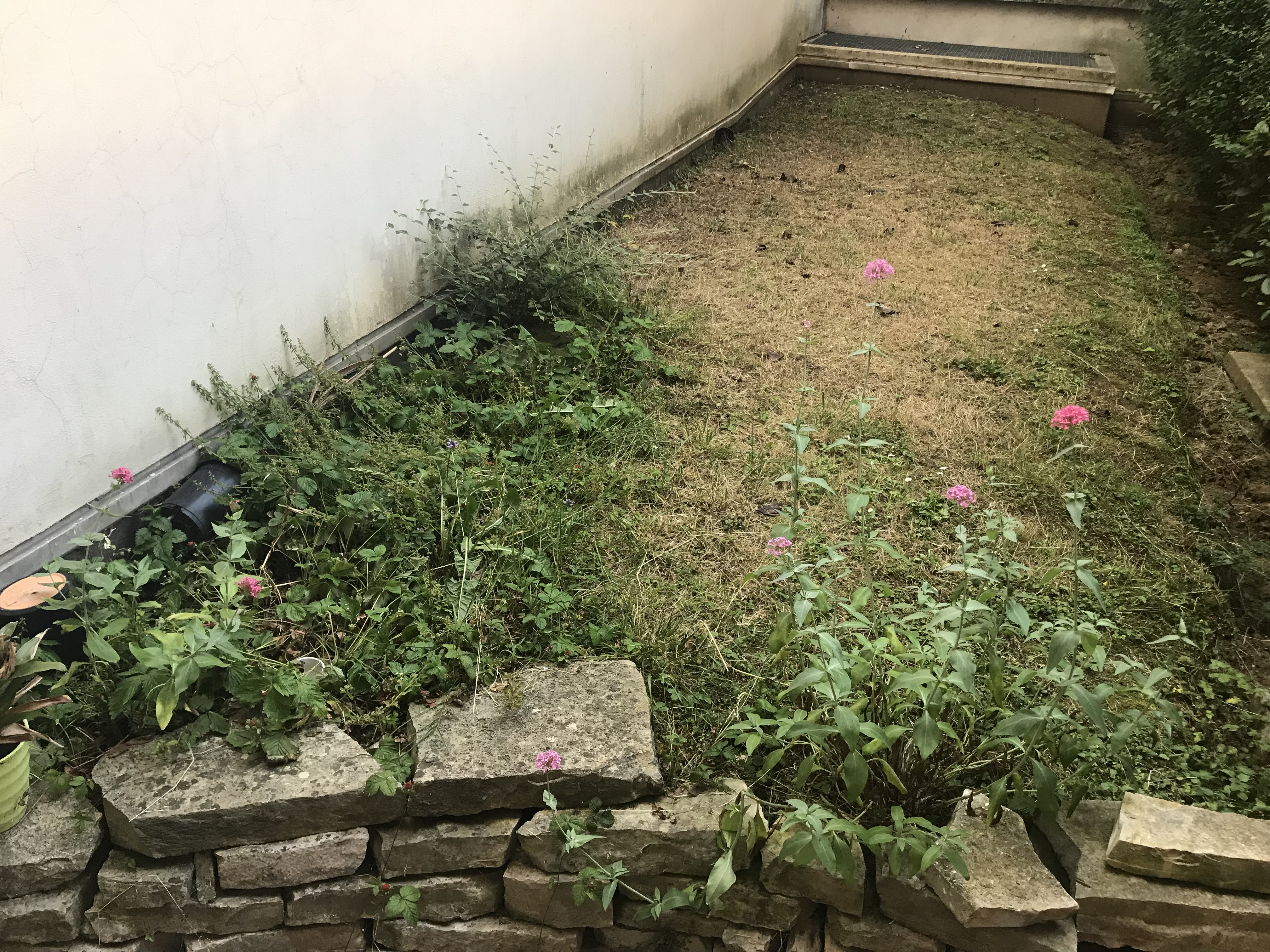 Photo n° 1 de l'avis de thibaut. fait le 26/10/2023 à 06:41