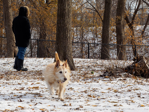 Park «Lake of the Isles Dog Park», reviews and photos, 2845 W Lake of the Isles Pkwy, Minneapolis, MN 55405, USA