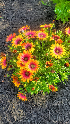 Tourist Attraction «Scituate Lighthouse», reviews and photos, 99 Lighthouse Rd, Scituate, MA 02066, USA
