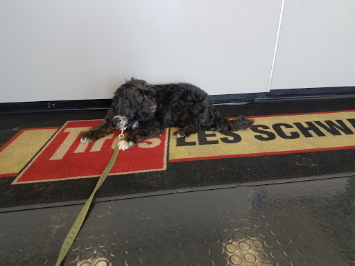 Tire Shop «Les Schwab Tire Center», reviews and photos, 51531 SE 2nd St, Scappoose, OR 97056, USA