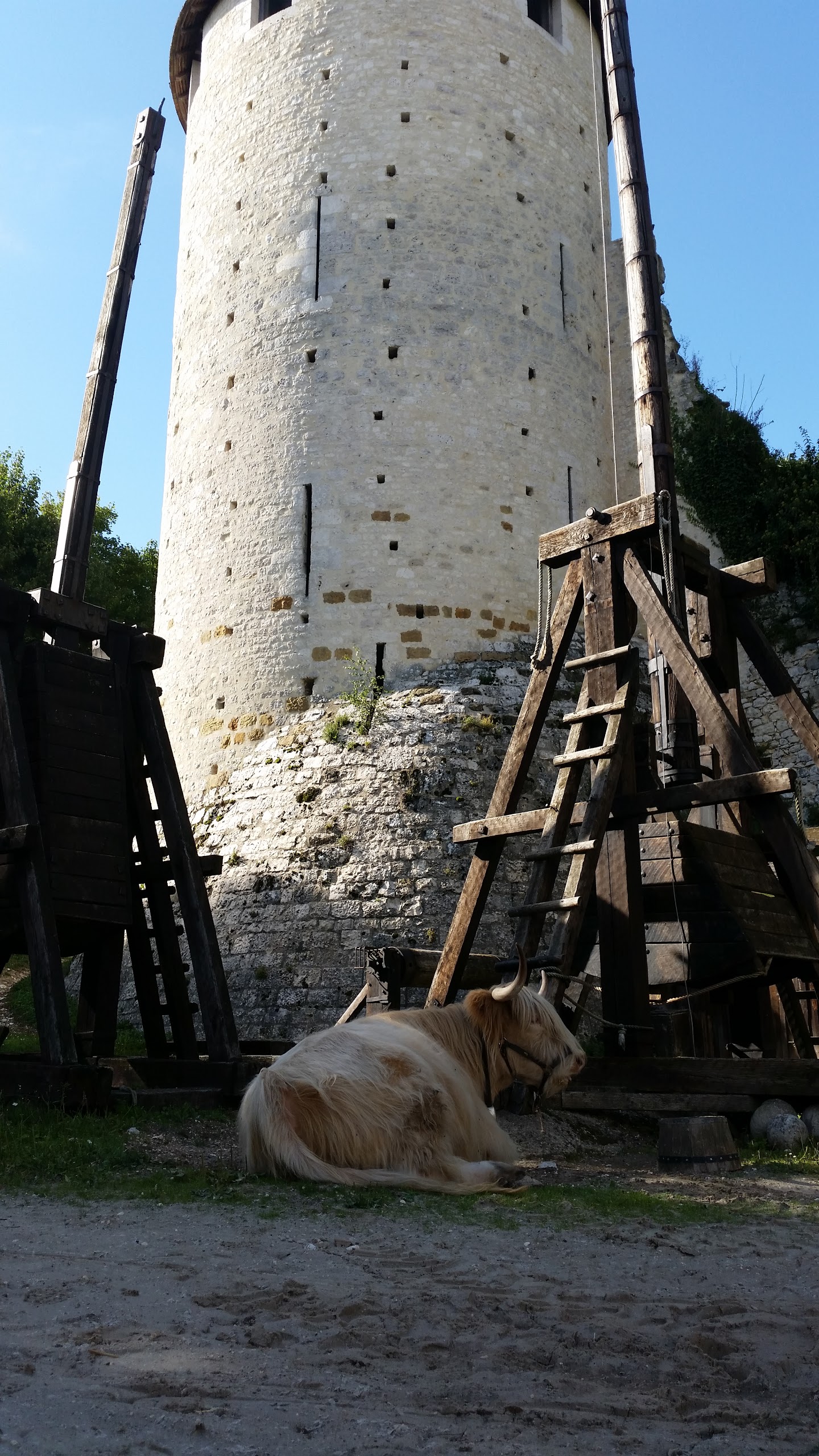 Photo n° 1 de l'avis de Olivier.E fait le 09/09/2017 à 23:06