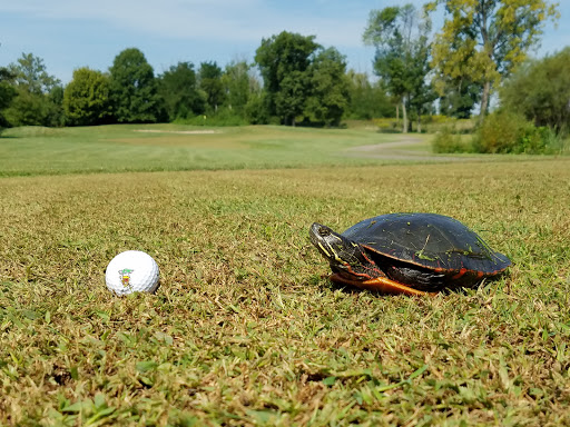 Golf Course «Tri County Golf Ranch», reviews and photos, 455 Tri County Pkwy, Cincinnati, OH 45246, USA