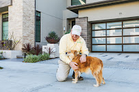 Malang Pest Control - Photo 9 - Car repair in Irvine, CA, Anaheim