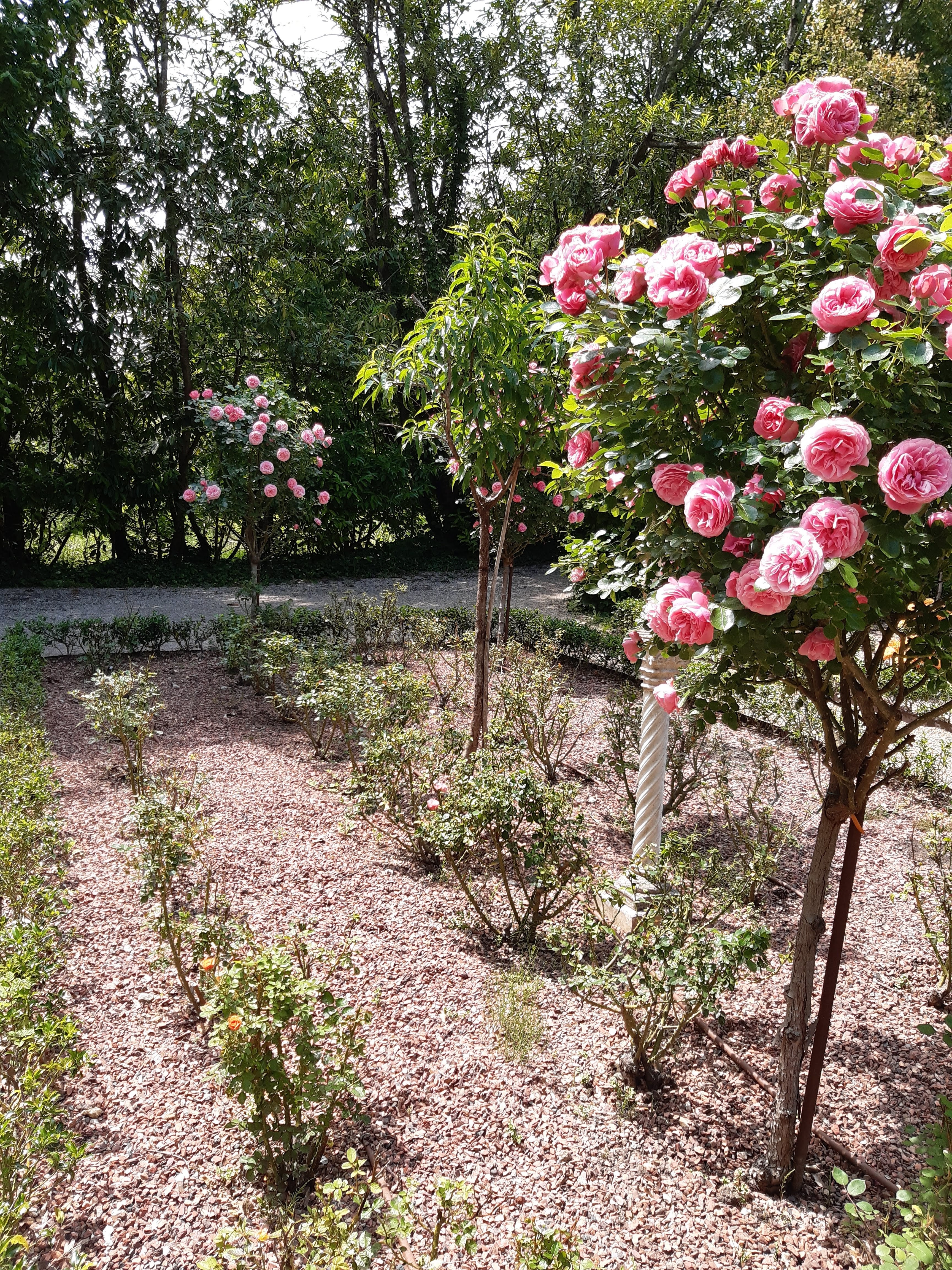 Photo n° 27 de l'avis de Patrice.a fait le 13/06/2021 à 16:03