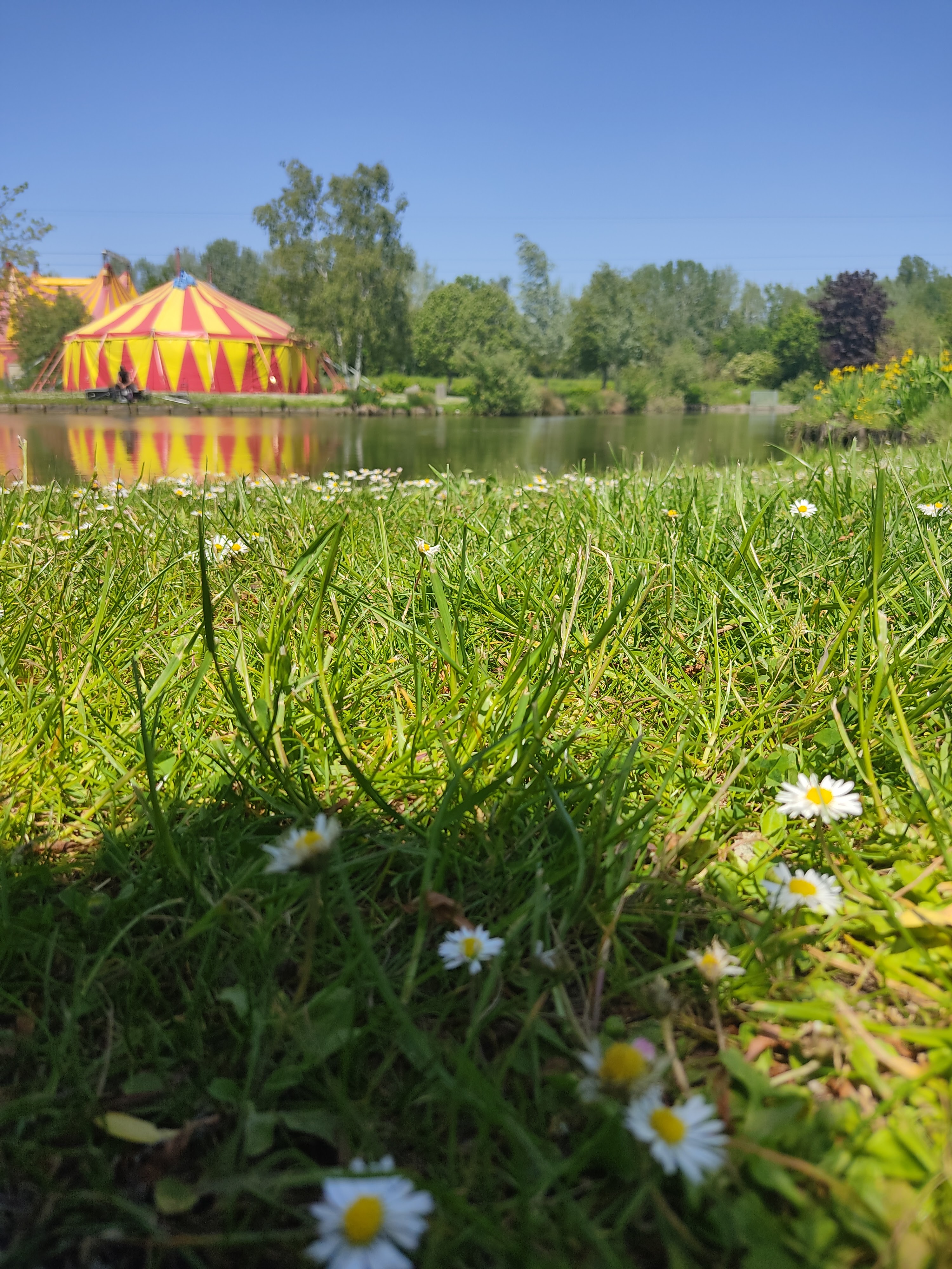 Photo n° 1 de l'avis de BLAS.m fait le 31/05/2021 à 11:26