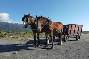 Golden Sands Horse And Wagon Tours image