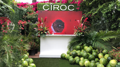 King Size LED Rentals and Sales image