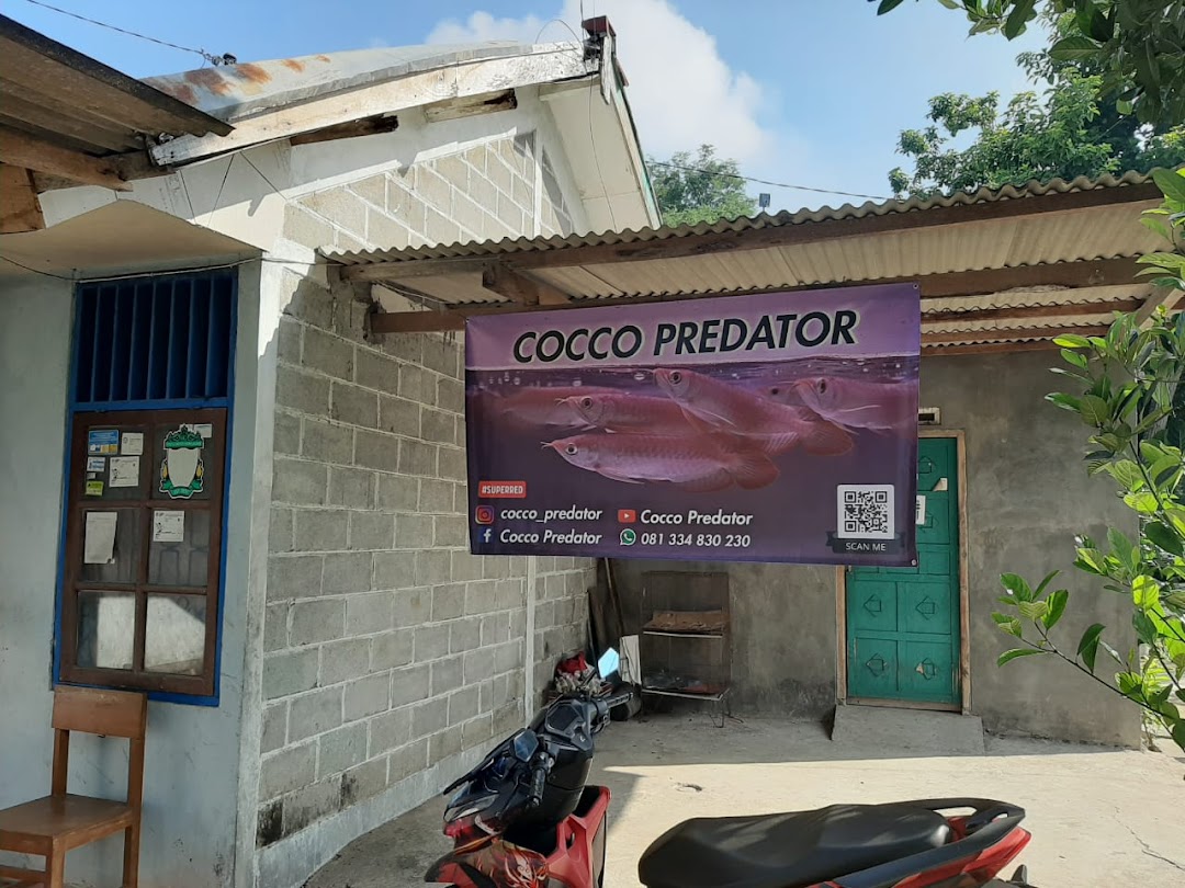 Cocco Predators