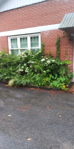 National Forest «Francis Marion National Forest», reviews and photos, 2967 Steed Creek Rd, Huger, SC 29450, USA