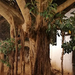 Photo n°3 de l'avis de Cinzia.a fait le 29/06/2023 à 05:49 sur le  Masseria Parco di Castro à Fasano