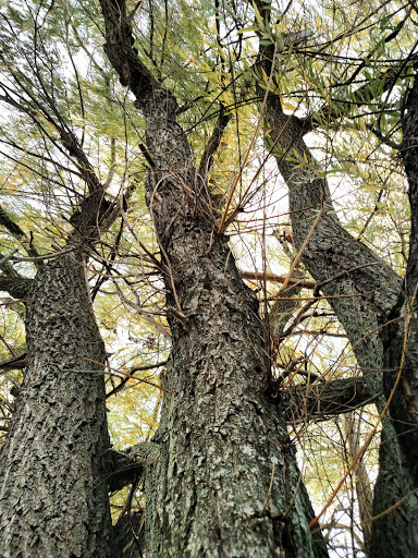 Golf Course «Brighton Park Golf Course», reviews and photos, 70 Brompton Rd, Tonawanda, NY 14150, USA