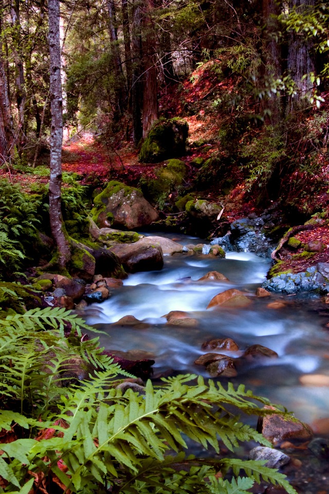 Different Strokes Massage 79108