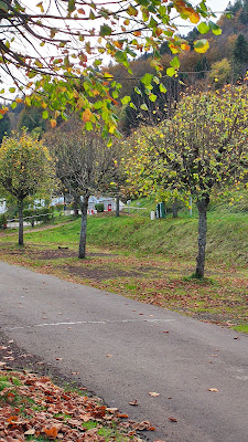 Aire de camping car des Crouzets à Mont-Dore